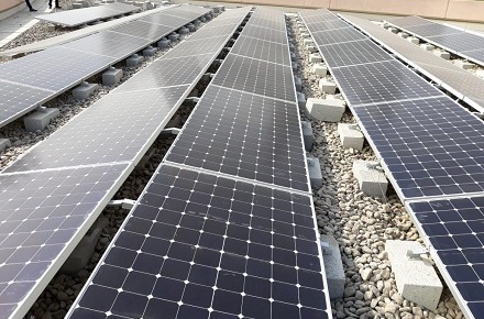 Un million de fermes solaires rendent l'université du Queensland 100% renouvelable

